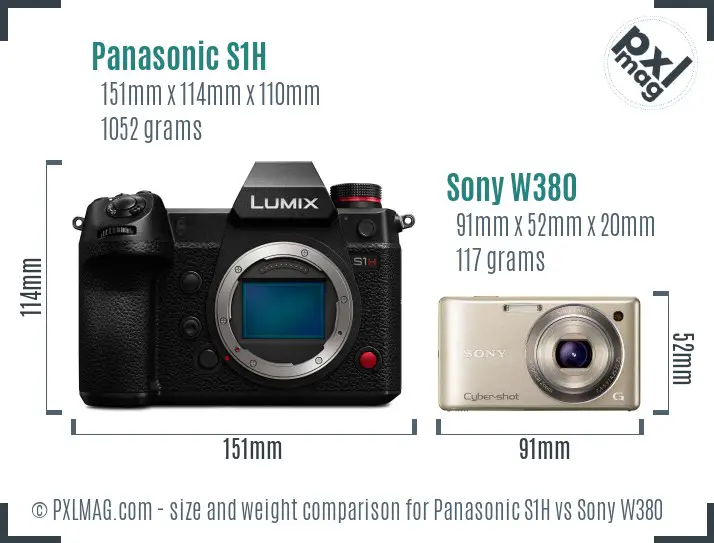 Panasonic S1H vs Sony W380 size comparison