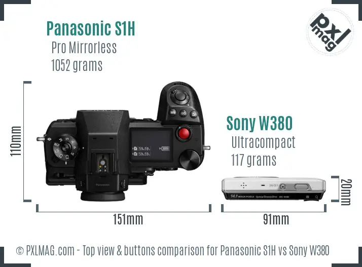 Panasonic S1H vs Sony W380 top view buttons comparison