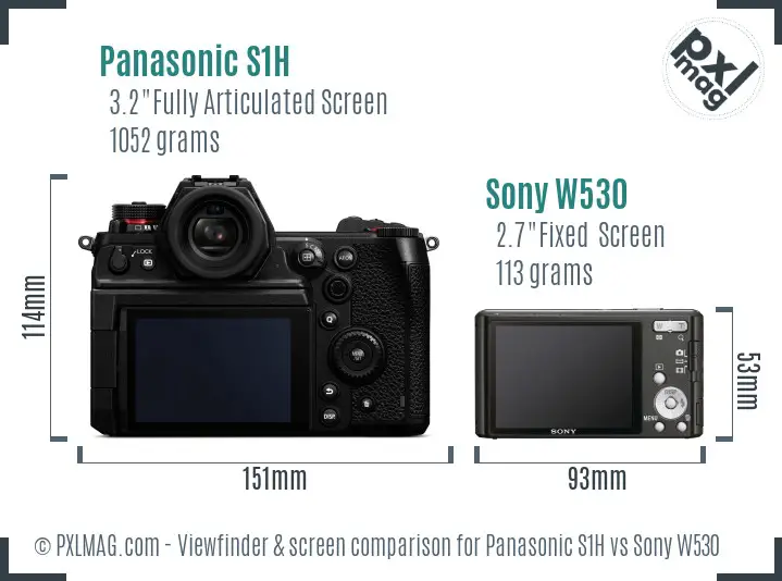 Panasonic S1H vs Sony W530 Screen and Viewfinder comparison