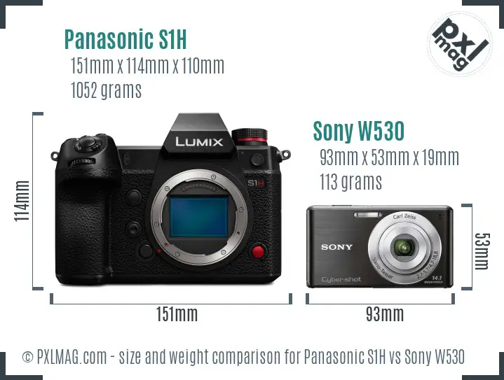 Panasonic S1H vs Sony W530 size comparison