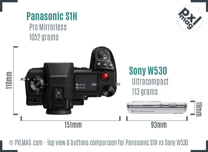 Panasonic S1H vs Sony W530 top view buttons comparison