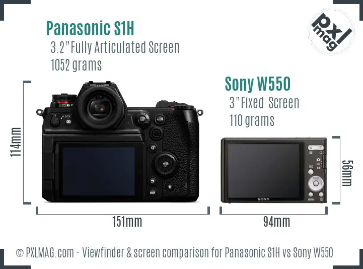 Panasonic S1H vs Sony W550 Screen and Viewfinder comparison