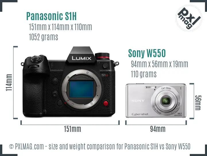 Panasonic S1H vs Sony W550 size comparison