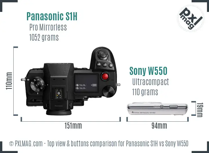 Panasonic S1H vs Sony W550 top view buttons comparison