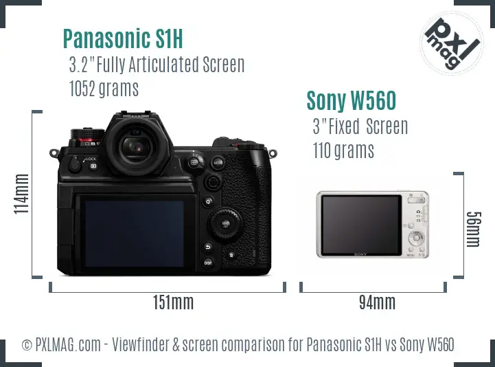 Panasonic S1H vs Sony W560 Screen and Viewfinder comparison