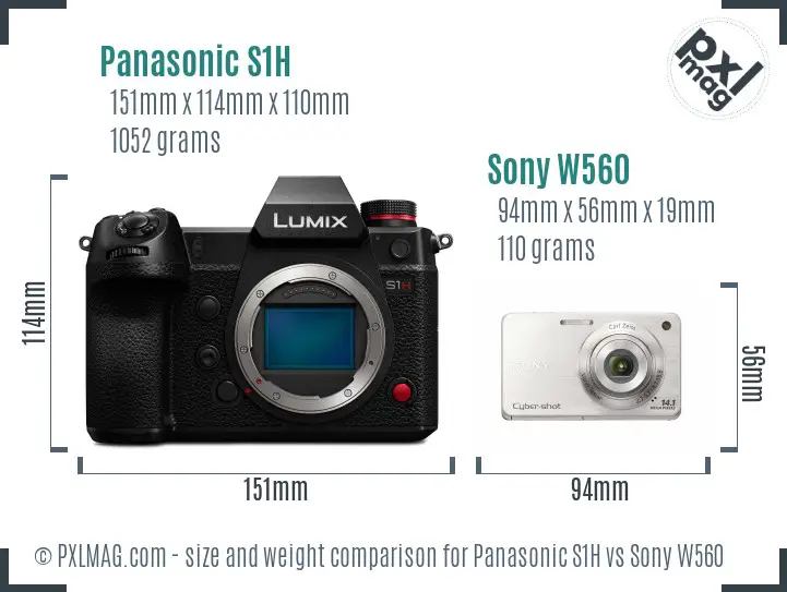 Panasonic S1H vs Sony W560 size comparison