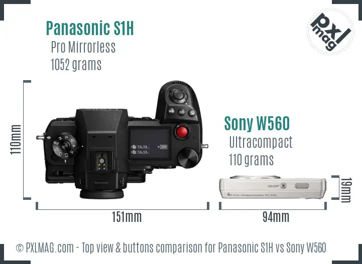 Panasonic S1H vs Sony W560 top view buttons comparison