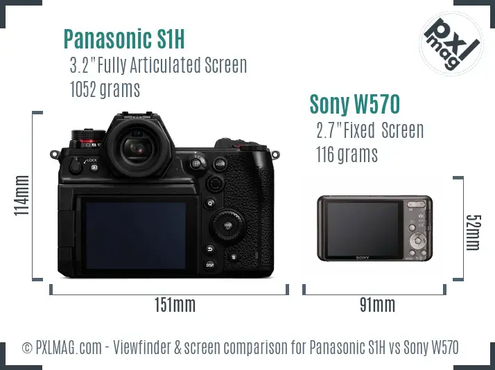 Panasonic S1H vs Sony W570 Screen and Viewfinder comparison