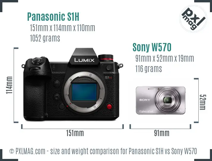 Panasonic S1H vs Sony W570 size comparison