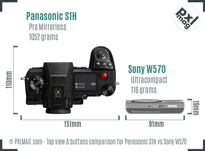 Panasonic S1H vs Sony W570 top view buttons comparison