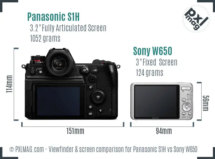 Panasonic S1H vs Sony W650 Screen and Viewfinder comparison