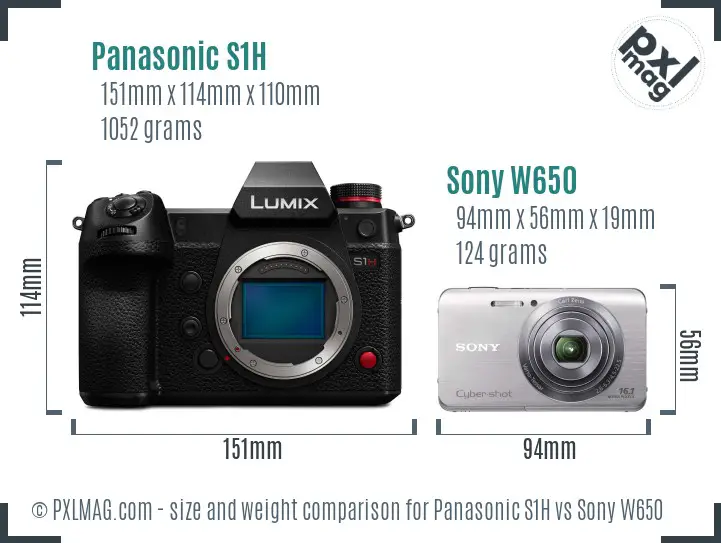 Panasonic S1H vs Sony W650 size comparison