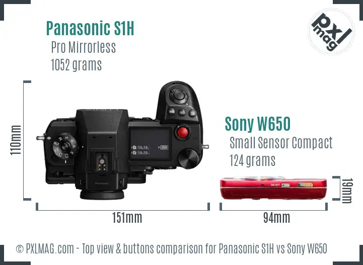 Panasonic S1H vs Sony W650 top view buttons comparison