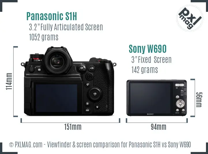 Panasonic S1H vs Sony W690 Screen and Viewfinder comparison