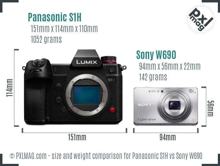 Panasonic S1H vs Sony W690 size comparison