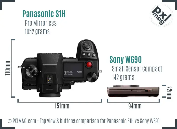 Panasonic S1H vs Sony W690 top view buttons comparison
