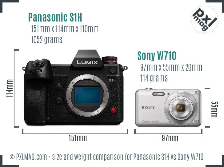 Panasonic S1H vs Sony W710 size comparison
