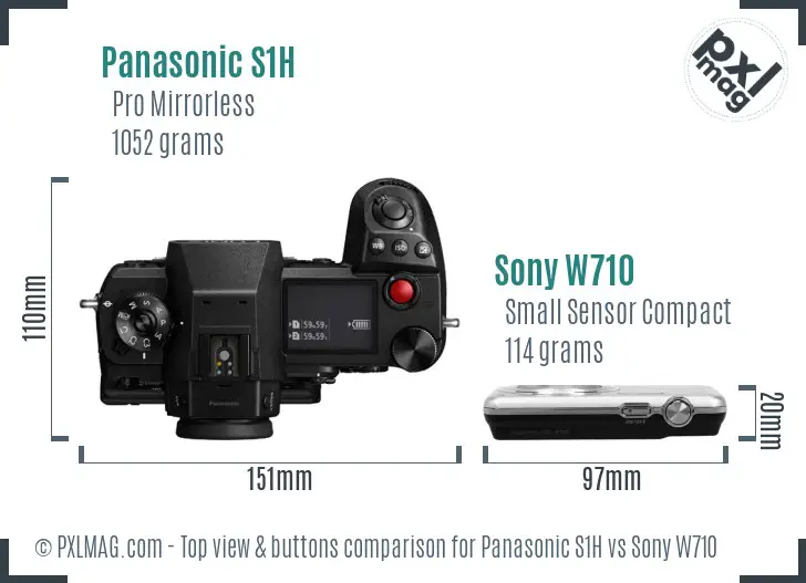Panasonic S1H vs Sony W710 top view buttons comparison