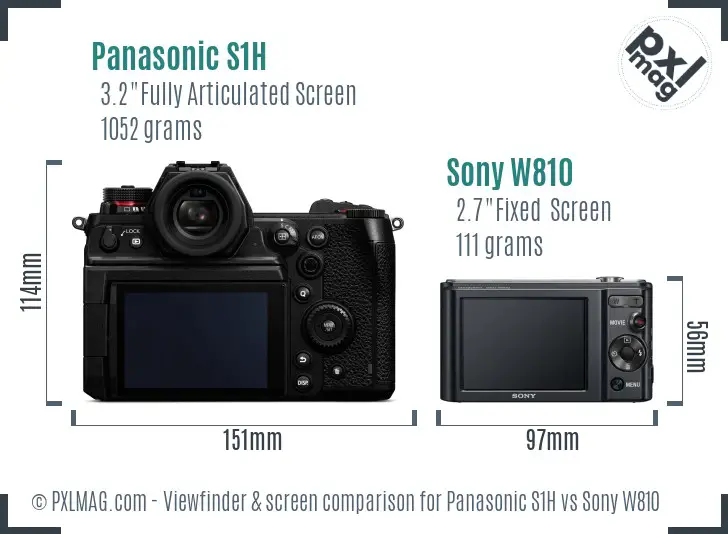 Panasonic S1H vs Sony W810 Screen and Viewfinder comparison