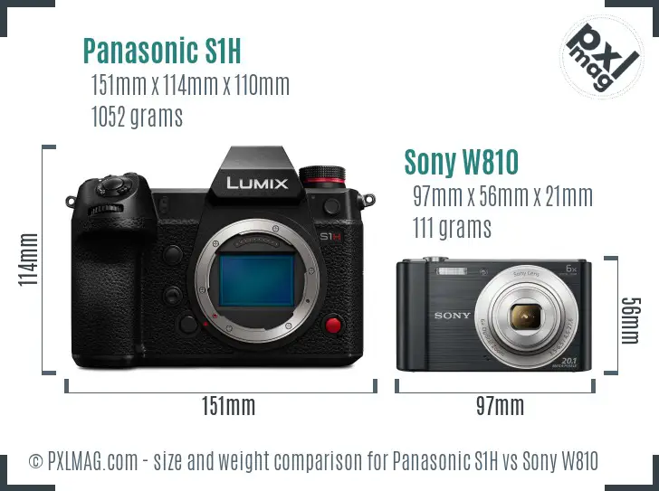 Panasonic S1H vs Sony W810 size comparison