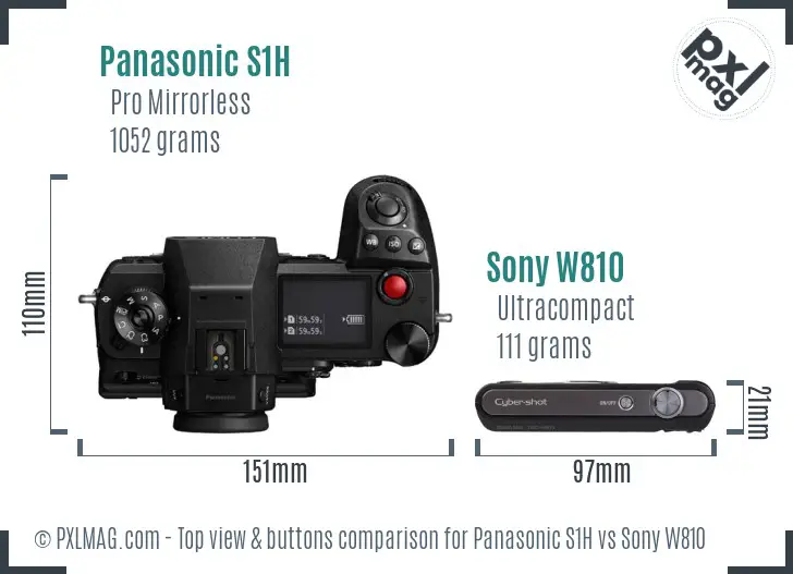 Panasonic S1H vs Sony W810 top view buttons comparison