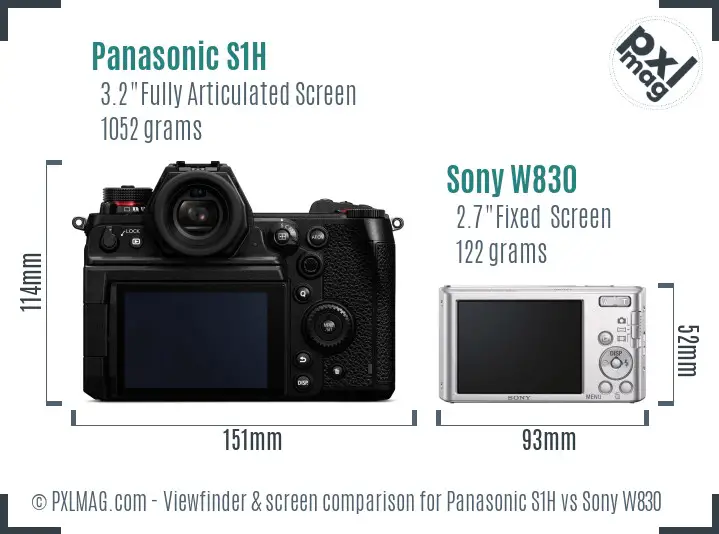 Panasonic S1H vs Sony W830 Screen and Viewfinder comparison