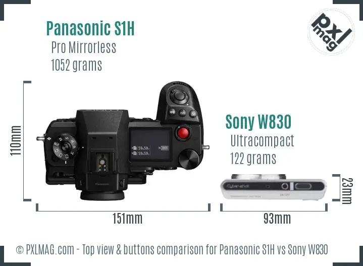 Panasonic S1H vs Sony W830 top view buttons comparison