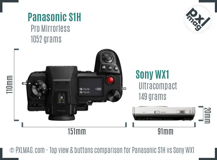 Panasonic S1H vs Sony WX1 top view buttons comparison