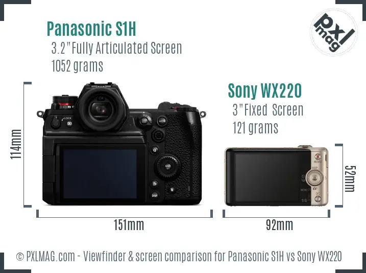 Panasonic S1H vs Sony WX220 Screen and Viewfinder comparison