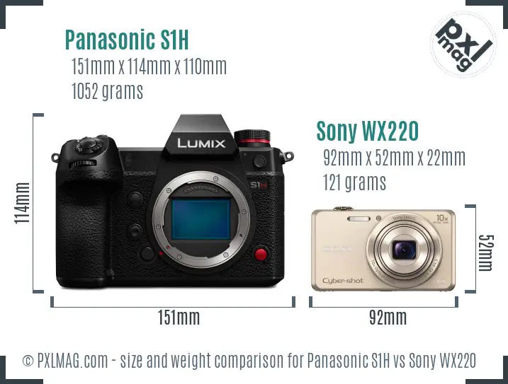 Panasonic S1H vs Sony WX220 size comparison