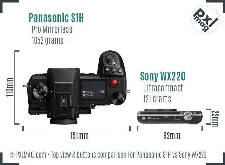 Panasonic S1H vs Sony WX220 top view buttons comparison