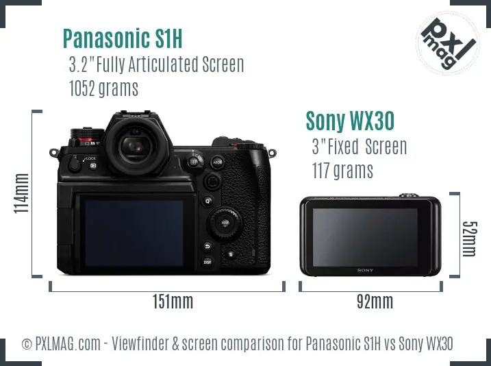 Panasonic S1H vs Sony WX30 Screen and Viewfinder comparison