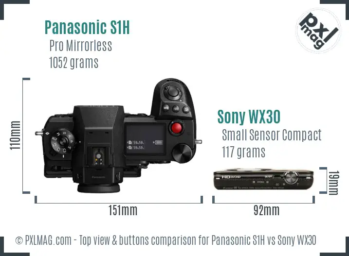 Panasonic S1H vs Sony WX30 top view buttons comparison