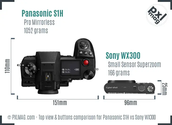 Panasonic S1H vs Sony WX300 top view buttons comparison