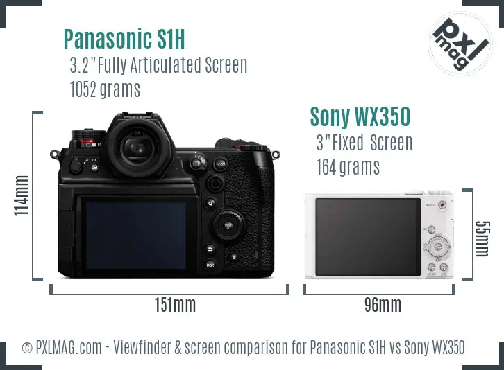 Panasonic S1H vs Sony WX350 Screen and Viewfinder comparison
