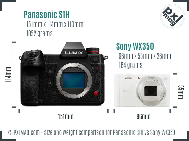 Panasonic S1H vs Sony WX350 size comparison