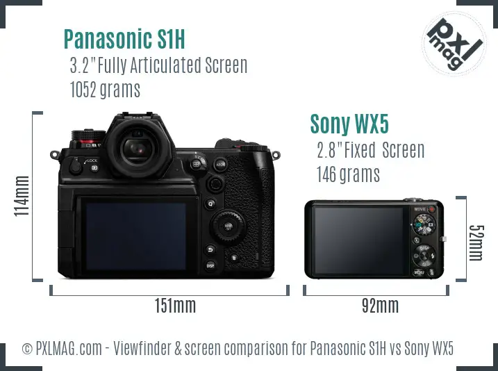Panasonic S1H vs Sony WX5 Screen and Viewfinder comparison