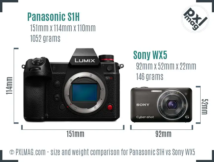 Panasonic S1H vs Sony WX5 size comparison