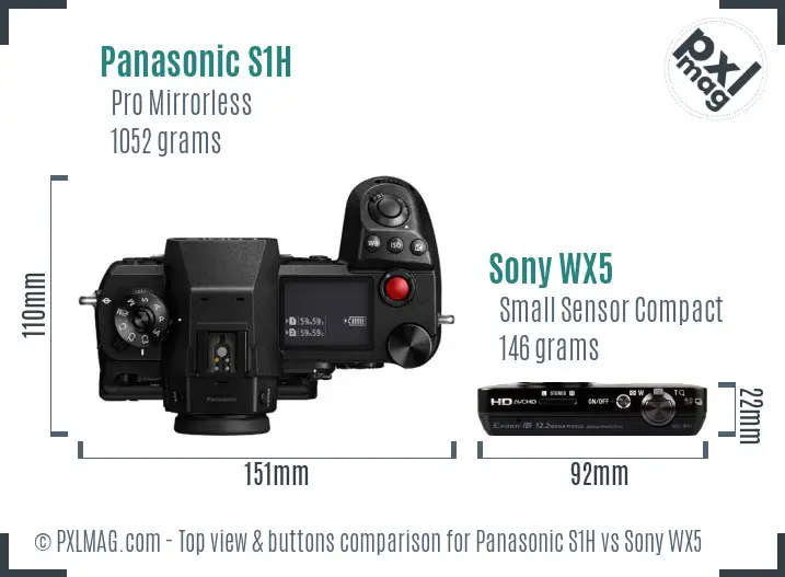 Panasonic S1H vs Sony WX5 top view buttons comparison