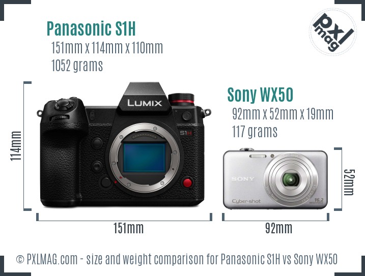 Panasonic S1H vs Sony WX50 size comparison