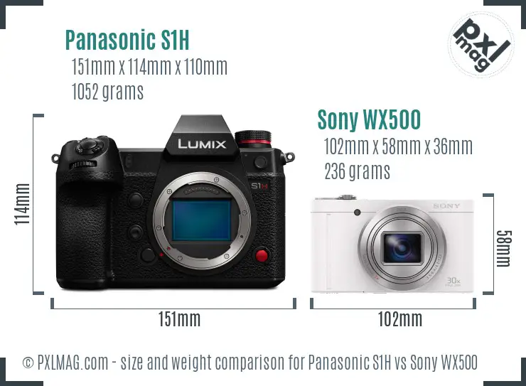 Panasonic S1H vs Sony WX500 size comparison
