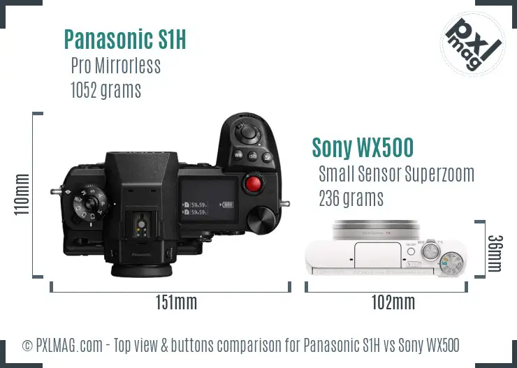 Panasonic S1H vs Sony WX500 top view buttons comparison