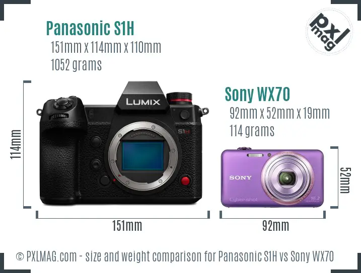Panasonic S1H vs Sony WX70 size comparison