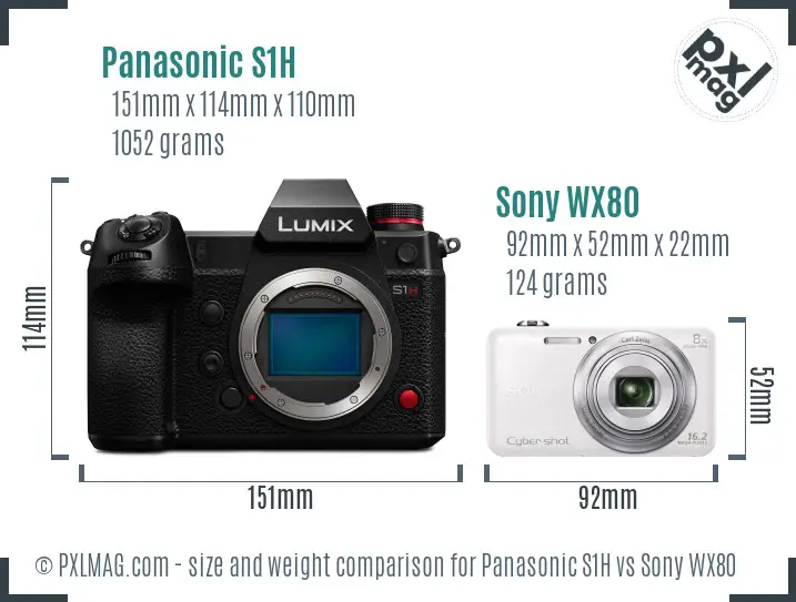 Panasonic S1H vs Sony WX80 size comparison