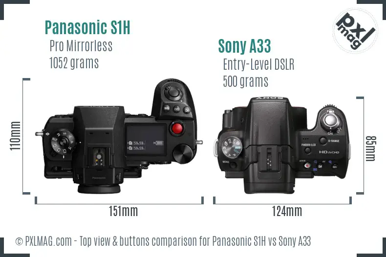 Panasonic S1H vs Sony A33 top view buttons comparison