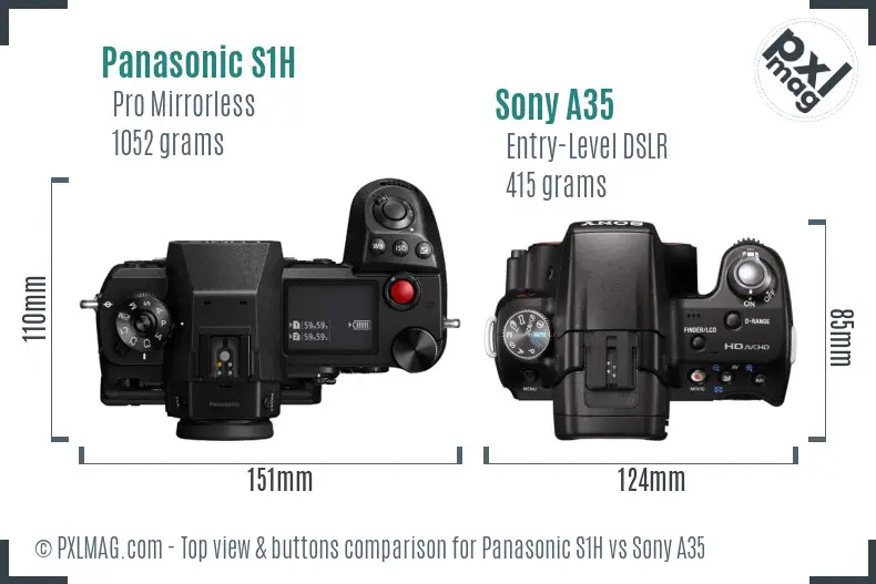 Panasonic S1H vs Sony A35 top view buttons comparison