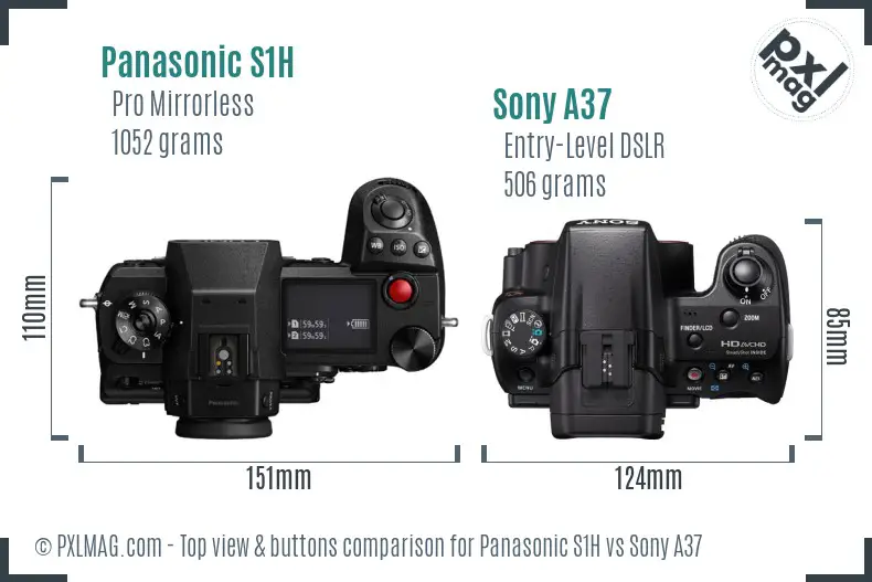 Panasonic S1H vs Sony A37 top view buttons comparison