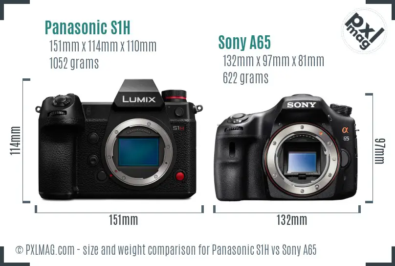 Panasonic S1H vs Sony A65 size comparison