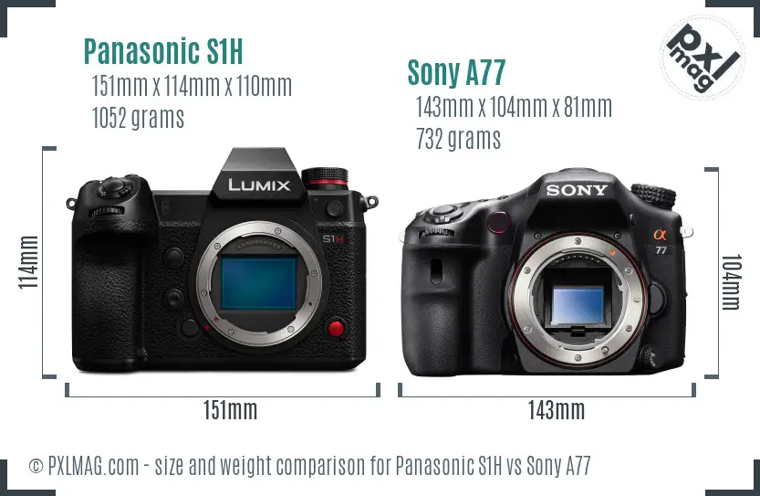Panasonic S1H vs Sony A77 size comparison