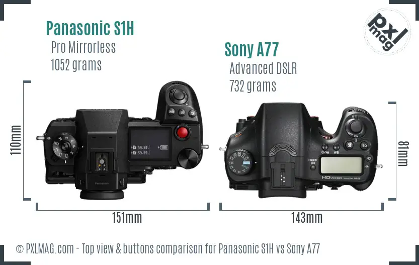 Panasonic S1H vs Sony A77 top view buttons comparison